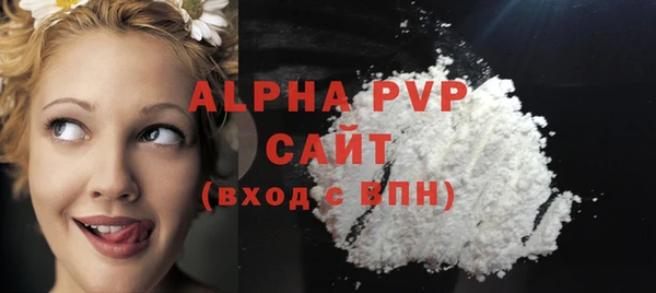 шишки Заволжск