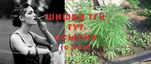 бошки Елизово
