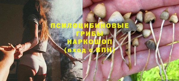 бошки Елизово
