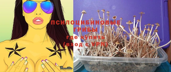 бошки Елизово