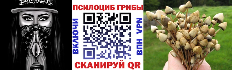 Галлюциногенные грибы GOLDEN TEACHER  Купить закладки  Добрянка 